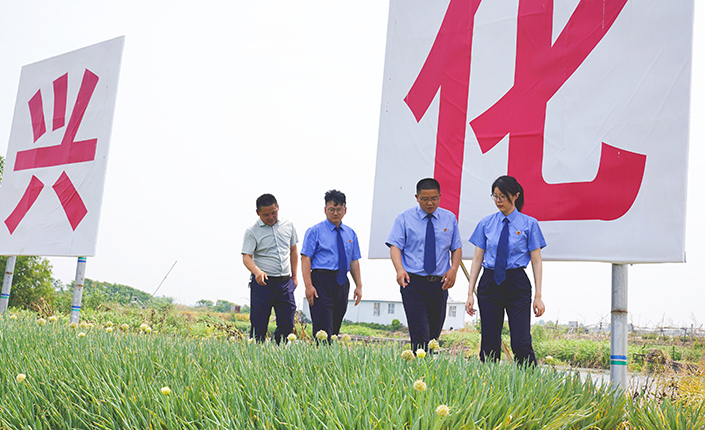 仲夏巡查忙 兴化市takse6走上垛田守护“梦里水乡”